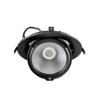 DownRay Orientable CLAREO 20W ADVANCE Noir Sans Driver