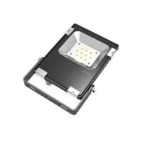 Floodlight CLAREO 10W ADVANCE FS