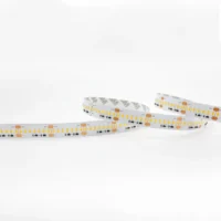 StripLED CLAREO 20W/m IP20 ADVANCE 2